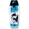 Gel bôi trơn trái cây nhiệt đới Shunga 697309064026